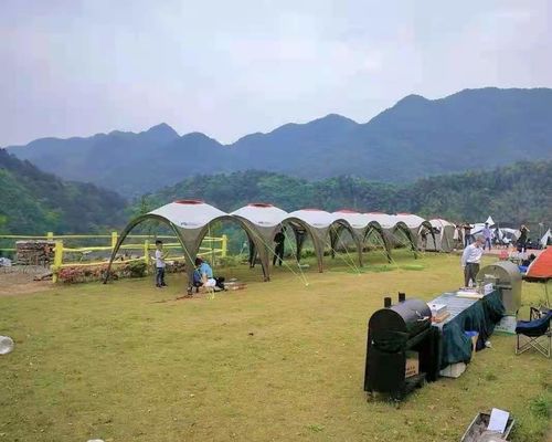 Bistro 3 Burners Gas BBQ Rotisserie Stove with Warming Area and Flat Plate Griddle